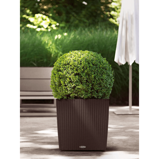 LECHUZA Cube New 40 Mokka LECHUZA Cube New 40 Mokka