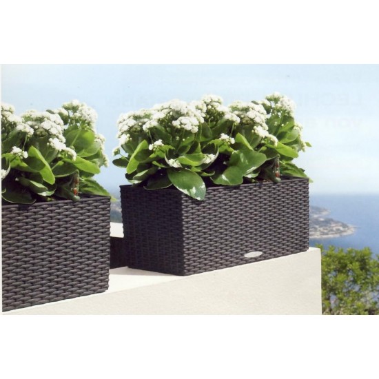 LECHUZA Balconera 80 Antracyt LECHUZA Balconera 80 Antracyt