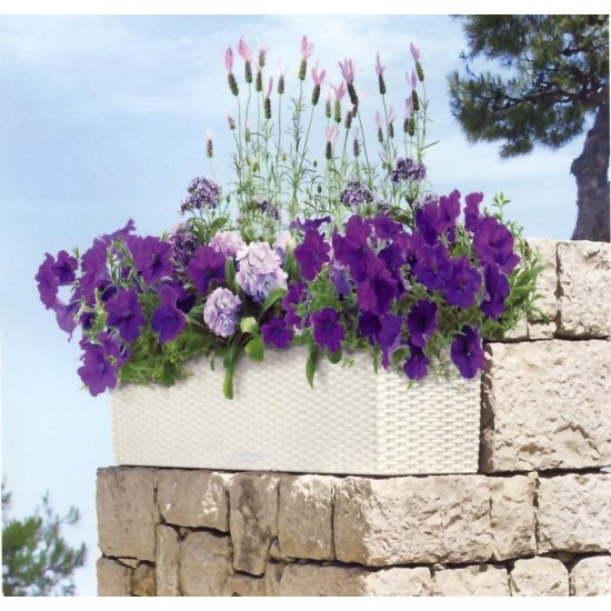 LECHUZA Balconera 80 White LECHUZA Balconera 80 White