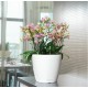 LECHUZA Classico 28 LS White LECHUZA Classico 28 LS White