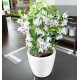 LECHUZA Classico 28 LS White LECHUZA Classico 28 LS White